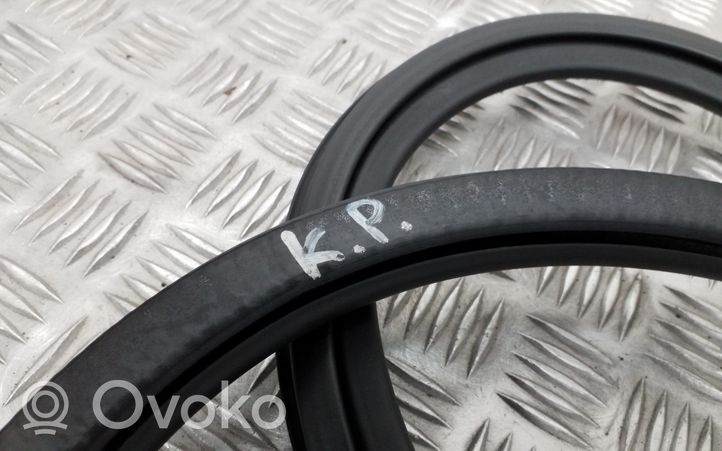 Audi A3 S3 8V Front door rubber seal 8V4931721