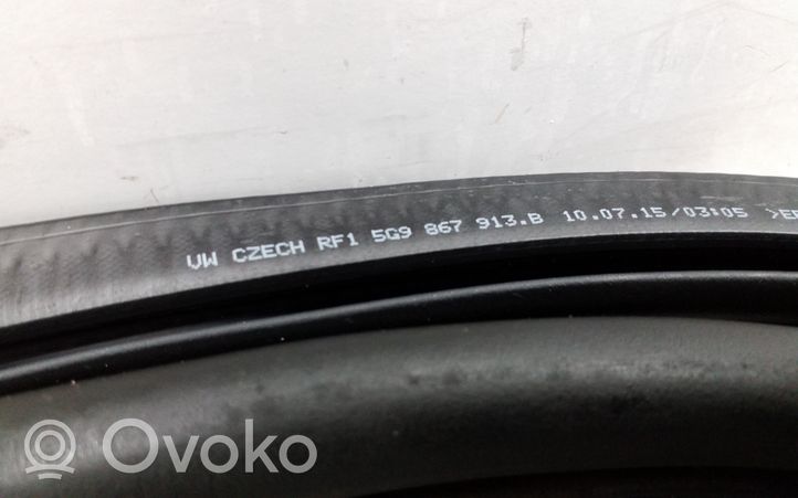 Volkswagen Golf VII Rear door rubber seal (on body) 5G9867913B