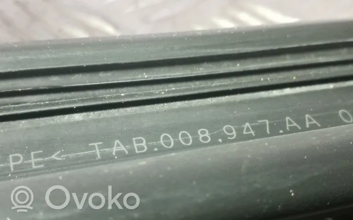 Volkswagen PASSAT B8 Rubber seal rear door TAB008947AA