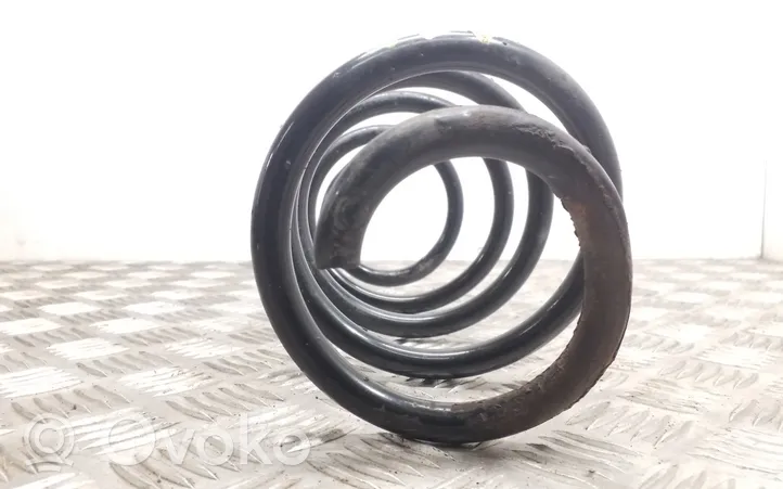 Volkswagen Tiguan Front coil spring 