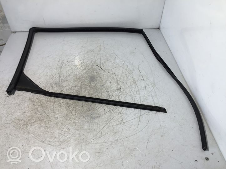 Ford Transit -  Tourneo Connect Rubber seal front door window/glass DT11V21511