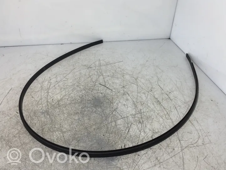 Toyota Auris E180 Katon muotolistan suoja 7555502080