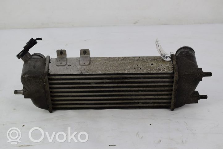 AC 428 Radiatore intercooler 