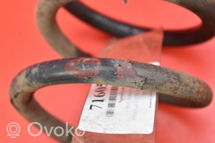 Opel Antara Rear coil spring OPEL