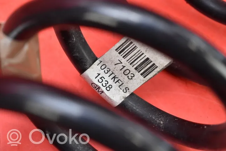 Opel Mokka Rear coil spring 95107103