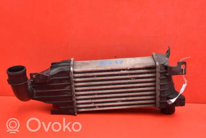 AC 428 Chłodnica powietrza doładowującego / Intercooler 13128926