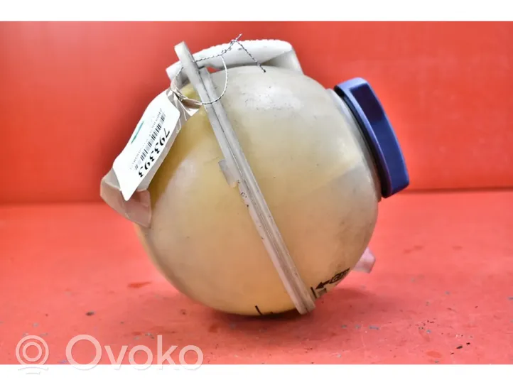 Volkswagen Bora Coolant expansion tank/reservoir VOLKSWAGEN