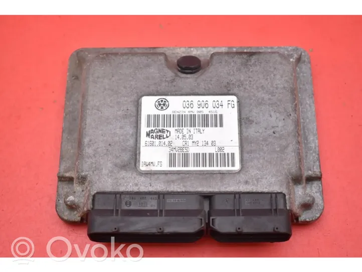 Skoda Fabia Mk1 (6Y) Galios (ECU) modulis 036906034FG