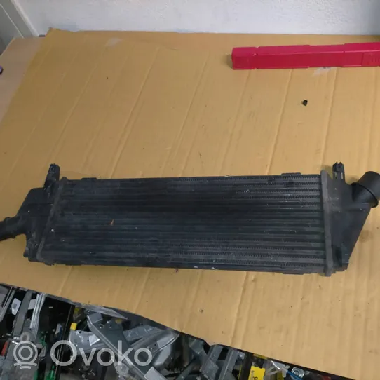 Nissan Micra Chłodnica powietrza doładowującego / Intercooler 14461BC400