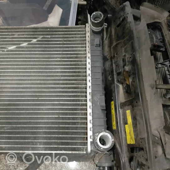 Ford Fiesta Pečiuko radiatorius 1325830