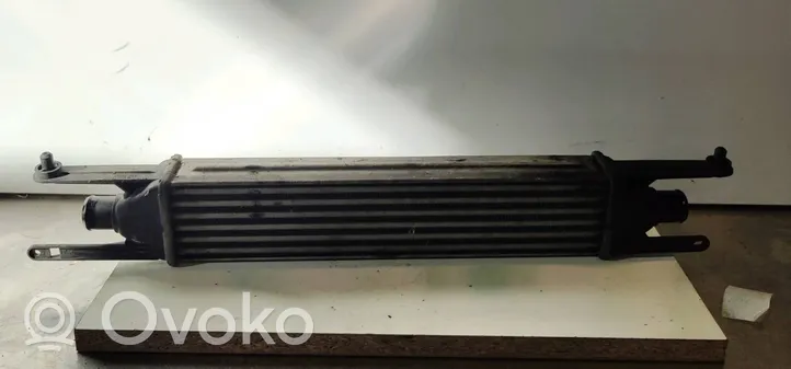 Fiat Stilo Chłodnica powietrza doładowującego / Intercooler 55702237