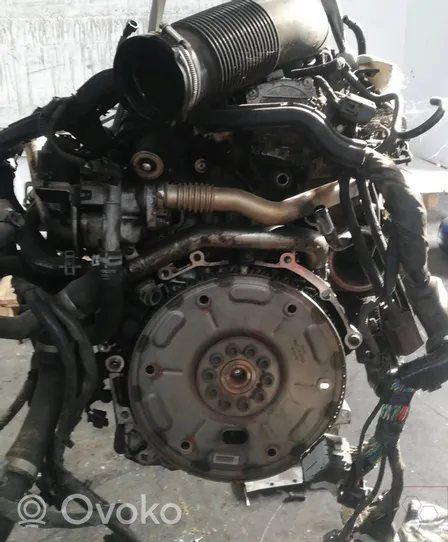 Volvo XC70 Moteur 36001818