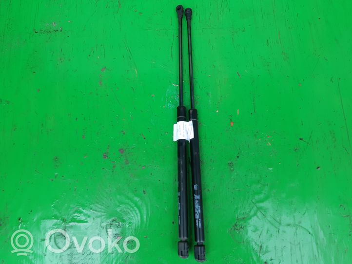 Volkswagen Polo Tailgate hydraulic set 23165