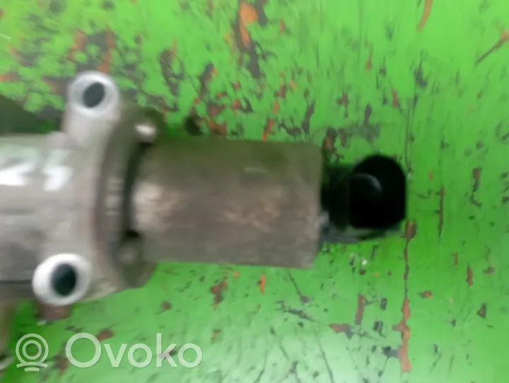 Fiat Punto (188) EGR vožtuvas 