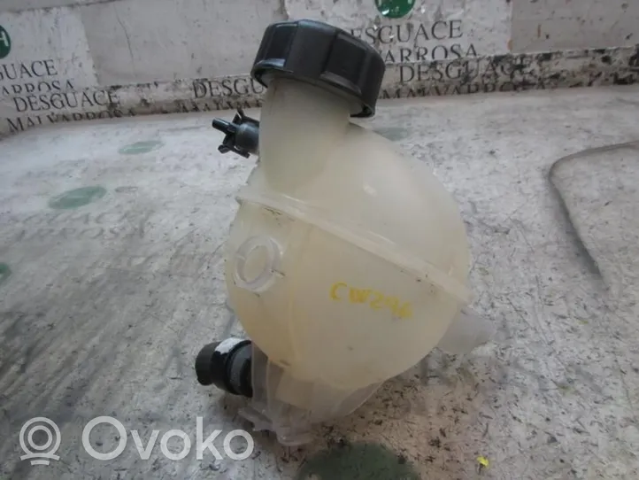 Citroen C3 Pluriel Vaso di espansione carburante 9800777280