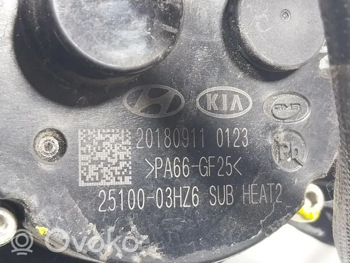 KIA Niro Bomba de agua 2510003HZ6