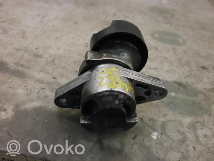 Renault Kangoo I Generator/alternator belt tensioner 