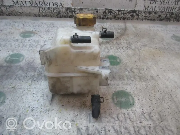 Opel Antara Vaso di espansione carburante 