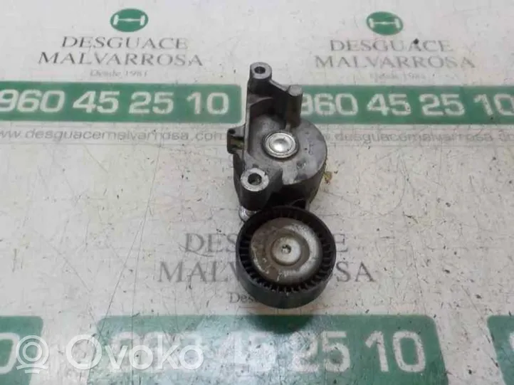 Volkswagen Passat Alltrack Tensor de correa del alternador 03G903315A