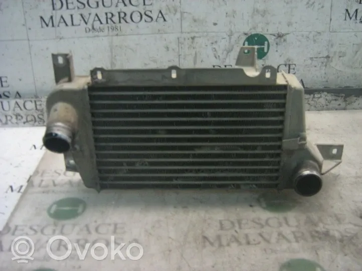 Tata Safari Chłodnica powietrza doładowującego / Intercooler 