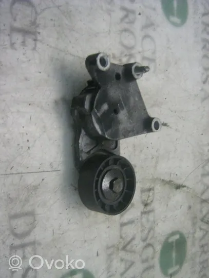 Citroen C3 Pluriel Tendicinghia generatore/alternatore 