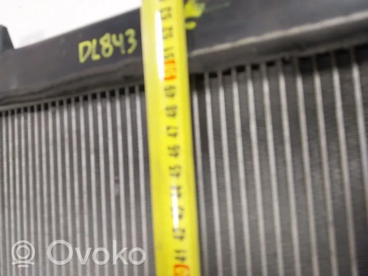 Hyundai i20 (PB PBT) Coolant radiator 