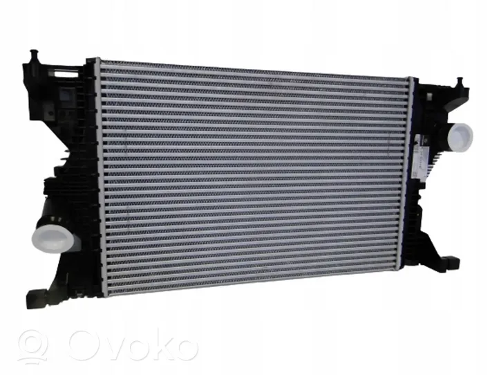 Mercedes-Benz B W247 Intercooler radiator A2475006100