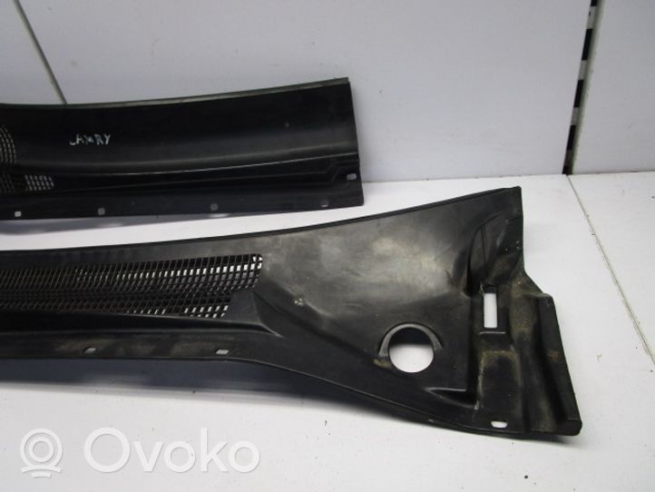 Toyota Camry Wiper trim -