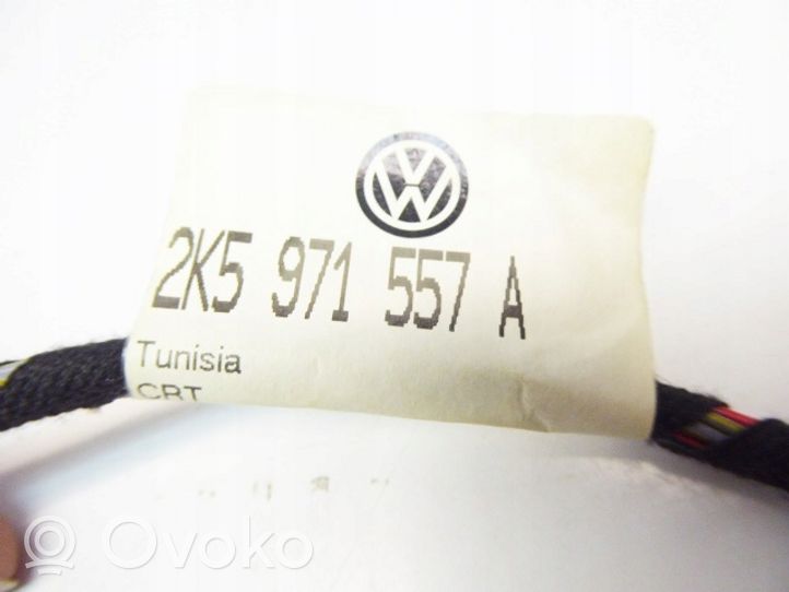Volkswagen Caddy Wiązka przewodów drzwi przednich 2K5971557A