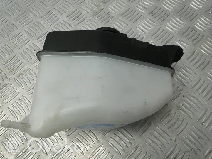 Hyundai Santa Fe Vase d'expansion / réservoir de liquide de refroidissement 25430-1000