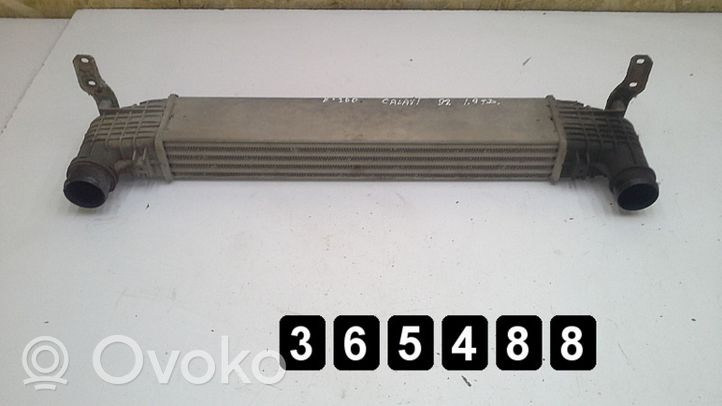 Volkswagen Sharan Chłodnica powietrza doładowującego / Intercooler 1900TDI