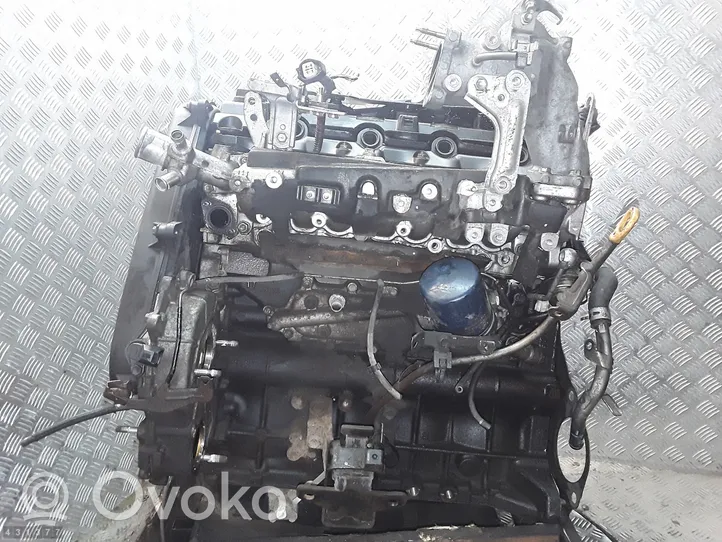 Toyota Hilux (AN10, AN20, AN30) Motore 1kd