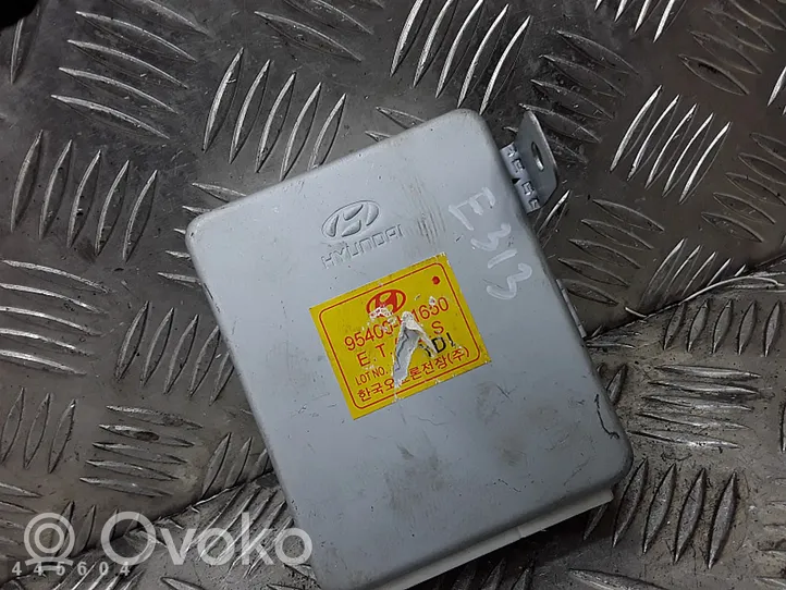 Hyundai Terracan Sterownik / Moduł ECU 95400h1650