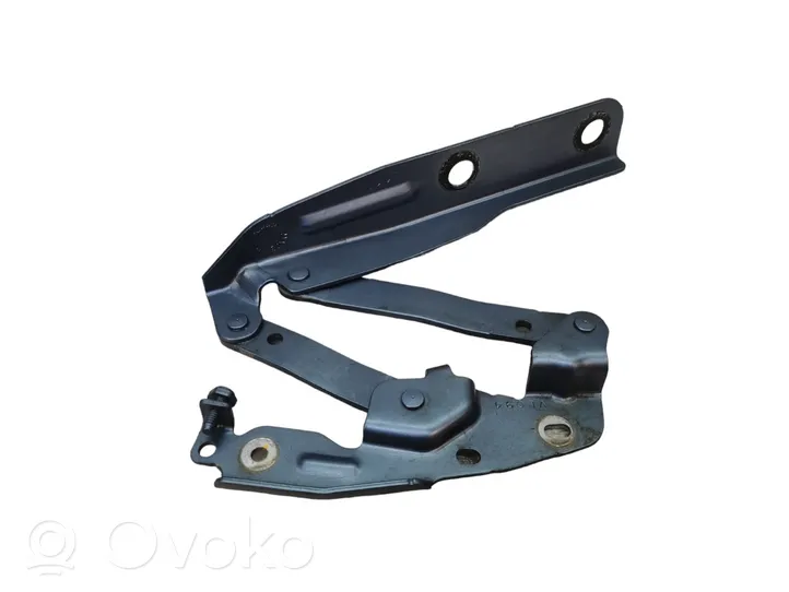 Volkswagen Routan Engine bonnet/hood hinges 