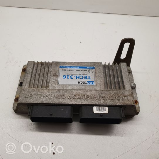 ZAZ 101 Komputer / Sterownik ECU silnika 67R016025