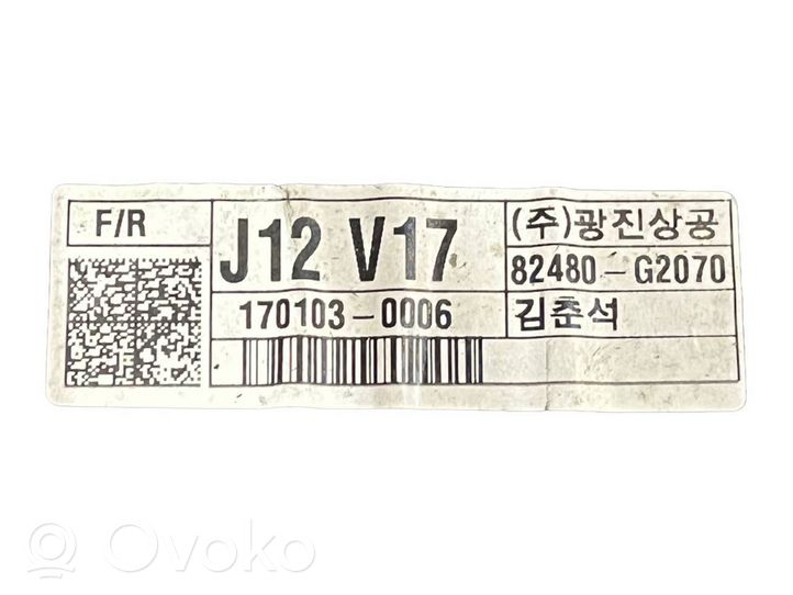 Hyundai Ioniq Regulador de puerta delantera con motor 82480G2070