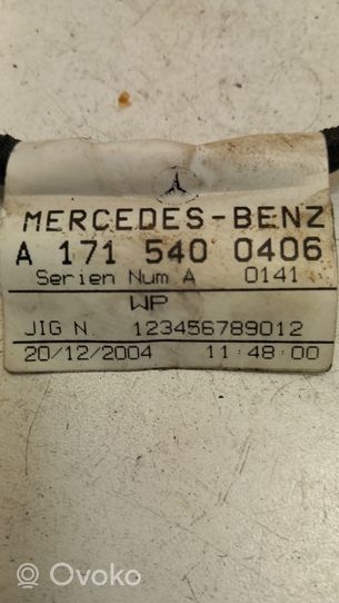 Mercedes-Benz SLK R171 Muu johtosarja A1715400406