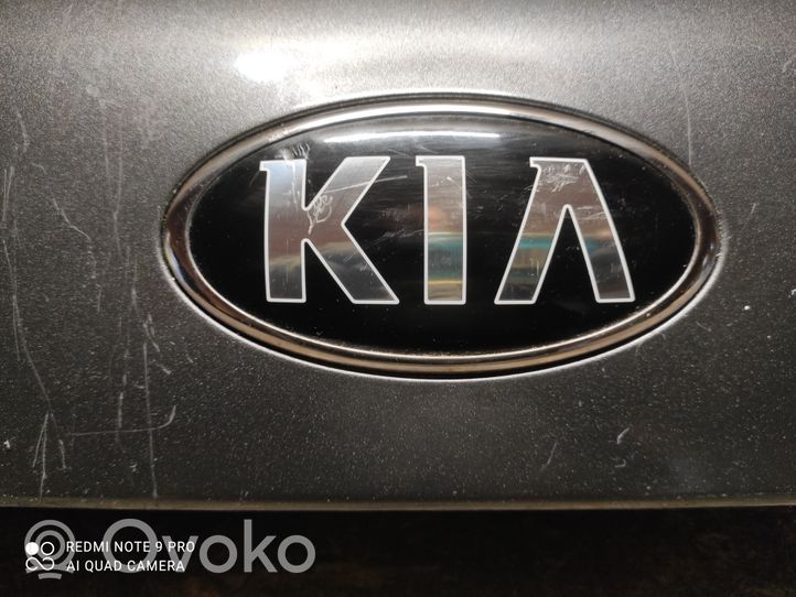 KIA Sorento Éclairage de plaque d'immatriculation 873112P510