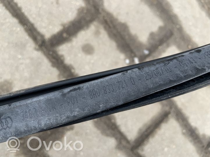 Audi Q5 SQ5 Rear door rubber seal (on body) 8R0833721D