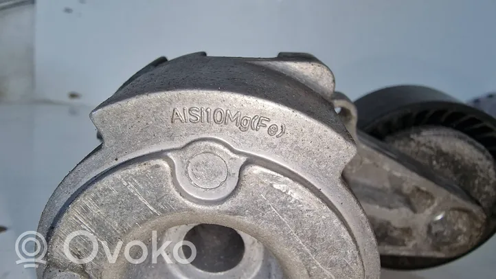 Volkswagen Polo IV 9N3 Tendicinghia generatore/alternatore GDAlSi9Cu3