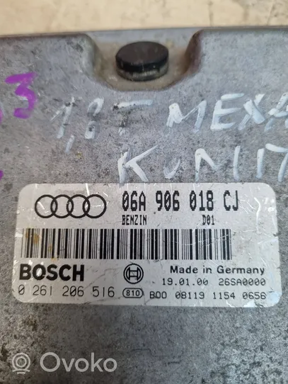 Audi A3 S3 8L Sterownik / Moduł ECU 06A906018CJ