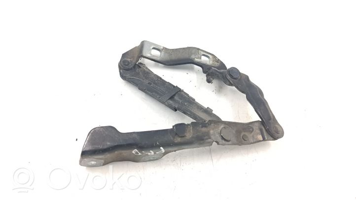 Volkswagen New Beetle Engine bonnet/hood hinges 1C0955757C