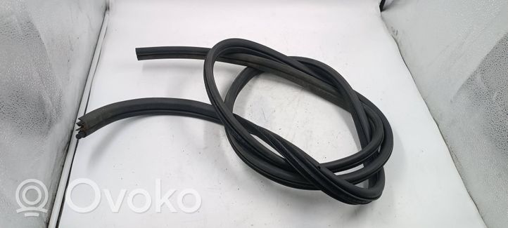 Renault Scenic I Front door rubber seal 02807407