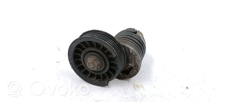 Volkswagen PASSAT B5 Napinacz paska alternatora 028903315M