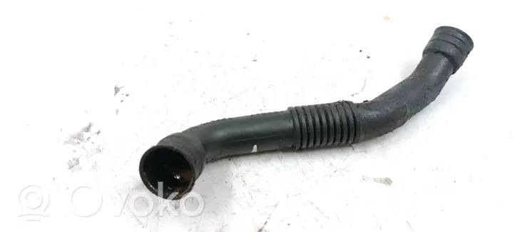 Volkswagen PASSAT B5.5 Breather hose/pipe 038103493