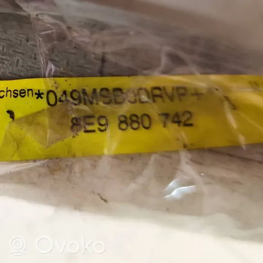 Audi A4 S4 B6 8E 8H Airbag da tetto 8E9880742