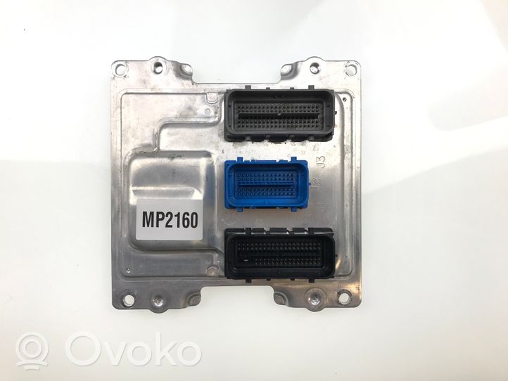 Opel Ampera Sterownik / Moduł ECU 1310101000000X