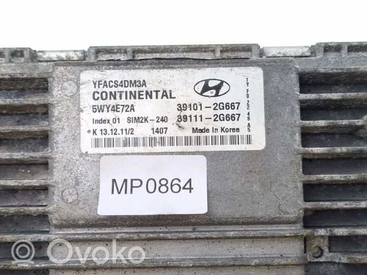Hyundai Sonata Sterownik / Moduł ECU 391012G667