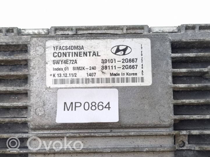 Hyundai Sonata Engine control unit/module 391012G667