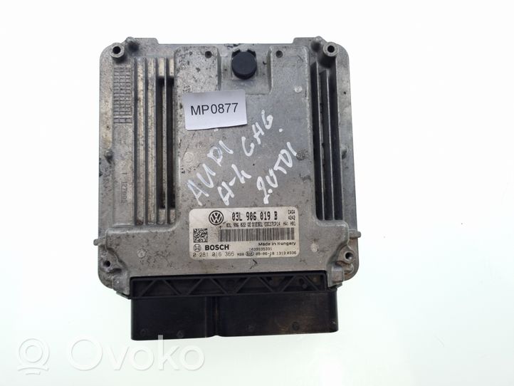 Audi A4 S4 B6 8E 8H Calculateur moteur ECU 03L906022GE